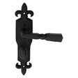 Ludlow Foundries Door Furniture Antique Black / Bathroom Lock Handles Ludlow - Barley Twist Lever on Gothic WC Backplate - Black Antique