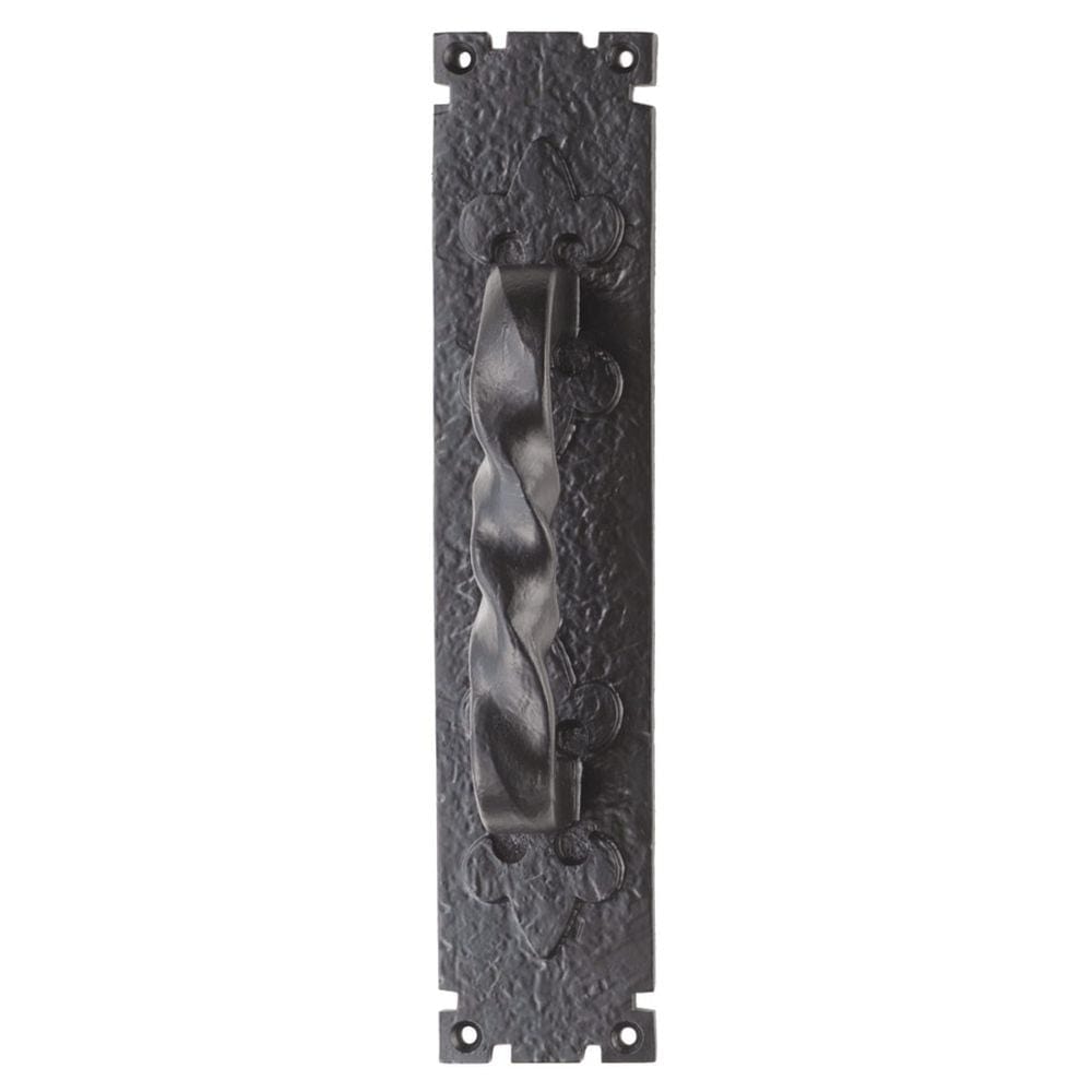 Ludlow Foundries Door Furniture Antique Black / Pull Handle (Backplate) Ludlow - Barley Twist Pull Handle on Backplate - Black Antique