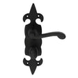 Ludlow Foundries Door Furniture Antique Black / Bathroom Lock Handles Ludlow - Fleur de lys' Lever on WC Backplate - Black Antique