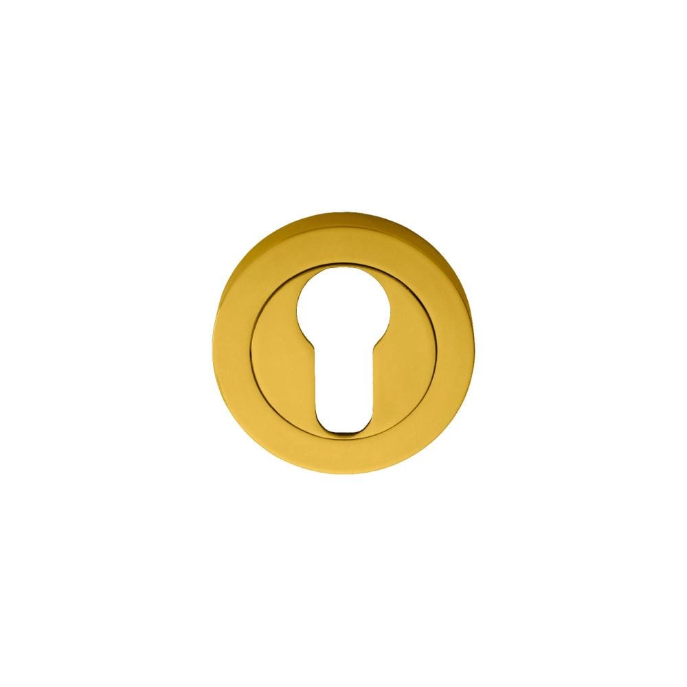 Manital Door Furniture Polished Brass / Euro Profile Escutcheons Manital - Euro Profile Escutcheon - Polished Brass