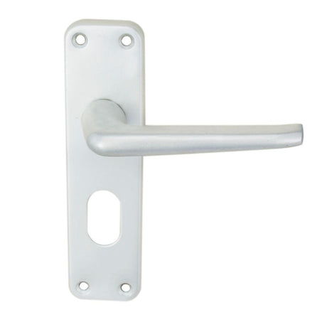 This is an image of a Eurospec - Aluminium Lever On Backplate - Lock Oval Profile 48.5Mm C/C - Satin A that is availble to order from Trade Door Handles in Kendal.