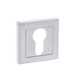 STATUS Door Furniture Satin Chrome / Euro Profile Escutcheons STATUS Euro Escutcheon on Square Rose - Satin Chrome