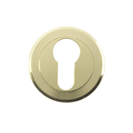 This is an image of a Serozzetta - Euro Profile Escutcheon - Stainless Brass that is availble to order from Trade Door Handles in Kendal.