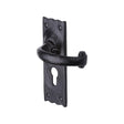 The Tudor Collection Door Furniture Antique Black / Euro Profile Lock Handles The Tudor Collection - Door Handle for Euro Profile Plate Colonial Design Black
