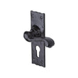 The Tudor Collection Door Furniture Antique Black / Euro Profile Lock Handles The Tudor Collection - Door Handle for Euro Profile Plate Shropshire Design Blac