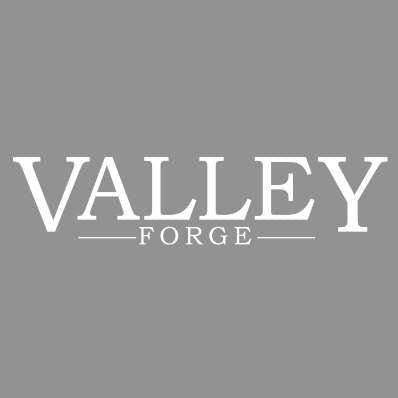 This is an image showing the Valley Forge logo by Frelan Hardware available to order from Trade Door Handles in Kendal