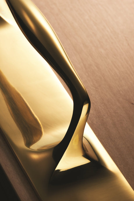 Door Pull Handles on Backplate