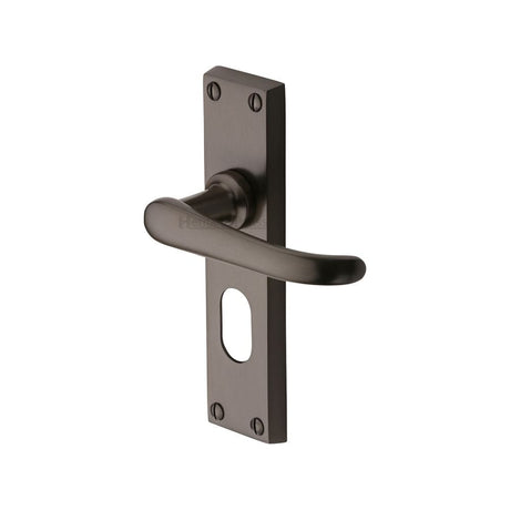 Heritage Brass Door Handle for Oval Profile Plate Windsor Design Matt Bronze Finish