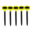 This is an image of Timco - Collated Drywall Screws - PH - Bugle - Coarse Thread - Black 3.5 x 25mm - (1000 PCS Box) 00025COLDYS