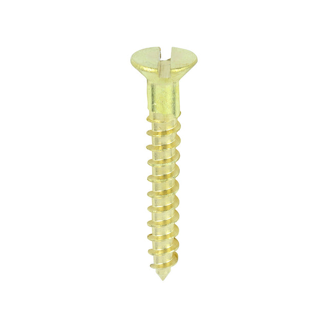 This is an image of Timco - Solid Brass Timber Screws - SLOT - Countersunk 6 x 1" - (200 PCS Box) 00061CBS