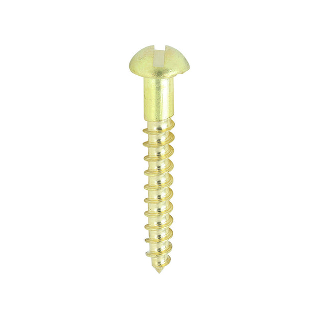 This is an image of Timco - Solid Brass Timber Screws - SLOT - Round 6 x 1" - (200 PCS Box) 00061RBS