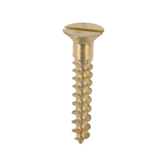 This is an image of Timco - Solid Brass Timber Screws - SLOT - Countersunk 8 x 1" - (200 PCS Box) 00081CBS