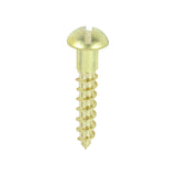This is an image of Timco - Solid Brass Timber Screws - SLOT - Round 6 x 3/4" - (200 PCS Box) 00634RBS