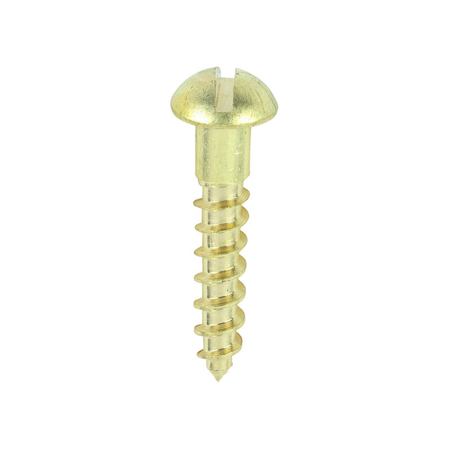 This is an image of Timco - Solid Brass Timber Screws - SLOT - Round 6 x 3/4" - (200 PCS Box) 00634RBS