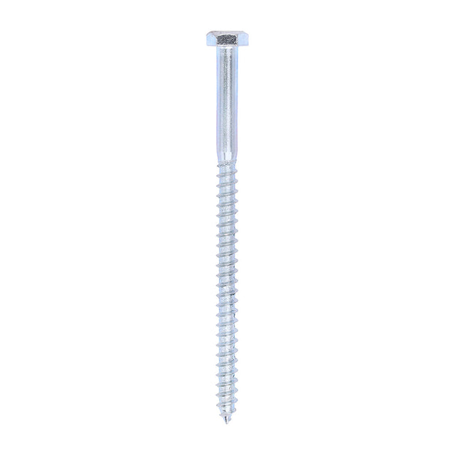 This is an image of Timco - Coach Screws - Hex - Zinc 6.0 x 100mm - (200 PCS Box) 06100CSC