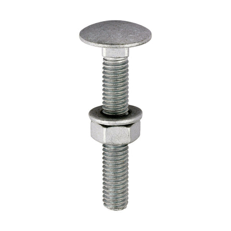 This is an image of Timco - Carriage Bolts Hex Nuts & Form A Washers - Dome - Exterior - Silver M6 x 40mm - (10 PCS TIMbag) 0640CBI