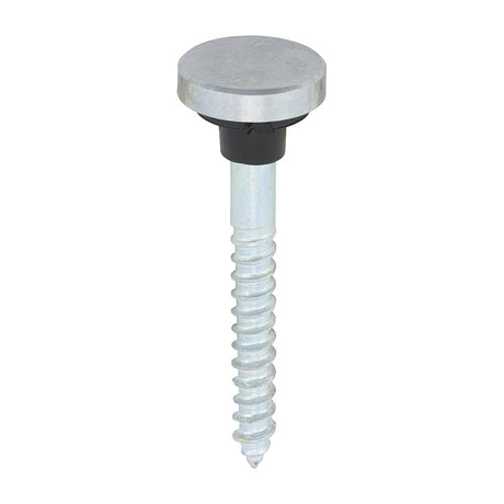This is an image of Timco - Mirror Screws - Zinc - Chrome Flat 8 x 1 1/2" - (8 PCS TIMpac) 08112FCMIRP