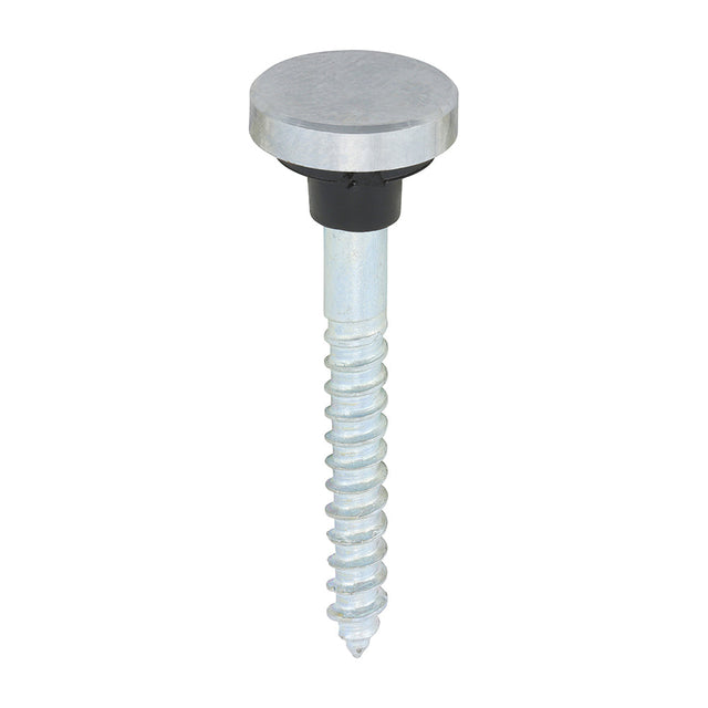 This is an image of Timco - Mirror Screws - Zinc - Chrome Flat 8 x 1 1/2" - (8 PCS TIMpac) 08112FCMIRP