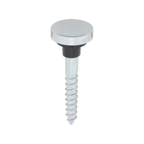 This is an image of Timco - Mirror Screws - Zinc - Chrome Flat 8 x 1 1/4" - (10 PCS TIMpac) 08114FCMIRP
