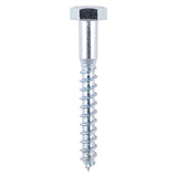 This is an image of Timco - Coach Screws - Hex - Zinc 8.0 x 150mm - (50 PCS Box) 08150CSC