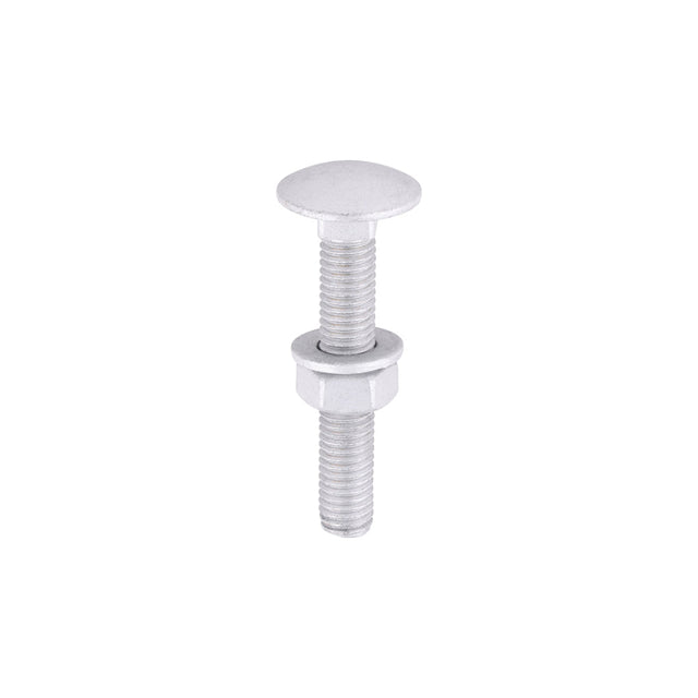 This is an image of Timco - Carriage Bolts Hex Nuts & Form A Washers - Dome - Exterior - Silver M8 x 50mm - (10 PCS TIMbag) 0850CBI