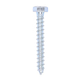 This is an image of Timco - Coach Screws - Hex - Zinc 8.0 x 60mm - (100 PCS Box) 0860CSC