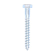 This is an image of Timco - Coach Screws - Hex - Zinc 8.0 x 65mm - (100 PCS Box) 0865CSC