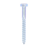 This is an image of Timco - Coach Screws - Hex - Zinc 8.0 x 75mm - (100 PCS Box) 0875CSC