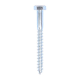 This is an image of Timco - Coach Screws - Hex - Zinc 10.0 x 100mm - (50 PCS Box) 10100CSC