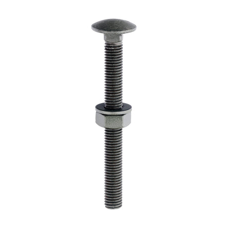 This is an image of Timco - Carriage Bolts Hex Nuts & Form A Washers - Dome - Exterior - Green M10 x 100mm - (10 PCS Bag) 10100INCB