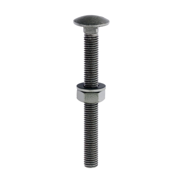 This is an image of Timco - Carriage Bolts Hex Nuts & Form A Washers - Dome - Exterior - Green M10 x 100mm - (10 PCS Bag) 10100INCB