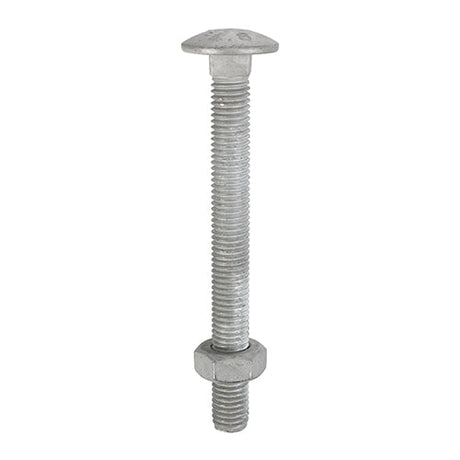 This is an image of Timco - Carriage Bolts & Hex Nuts - Hot Dipped Galvanised M10 x 110mm - (25 PCS Box) 10110CBG