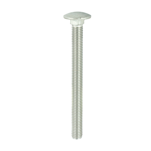 This is an image of Timco - Carriage Bolts - A2 Stainless Steel M10 x 110mm - (5 PCS Bag) 10110CBSSX