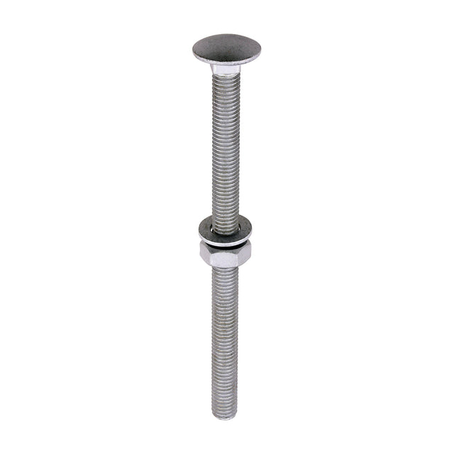 This is an image of Timco - Carriage Bolts Hex Nuts & Form A Washers - Dome - Exterior - Silver M10 x 150mm - (10 PCS TIMbag) 10150CBI