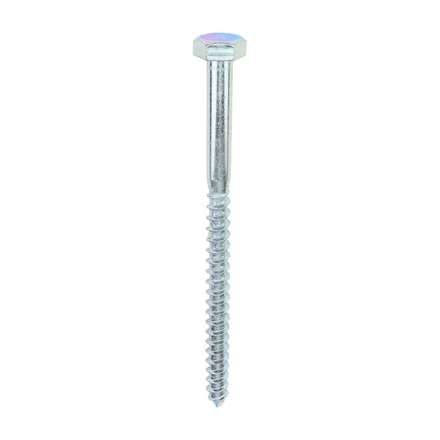 This is an image of Timco - Coach Screws - Hex - Zinc 10.0 x 150mm - (25 PCS Box) 10150CSC
