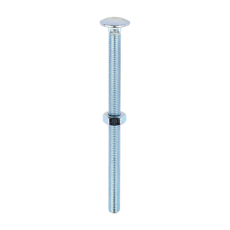 This is an image of Timco - Carriage Bolts & Hex Nuts - Zinc M10 x 160mm - (25 PCS Box) 10160CB