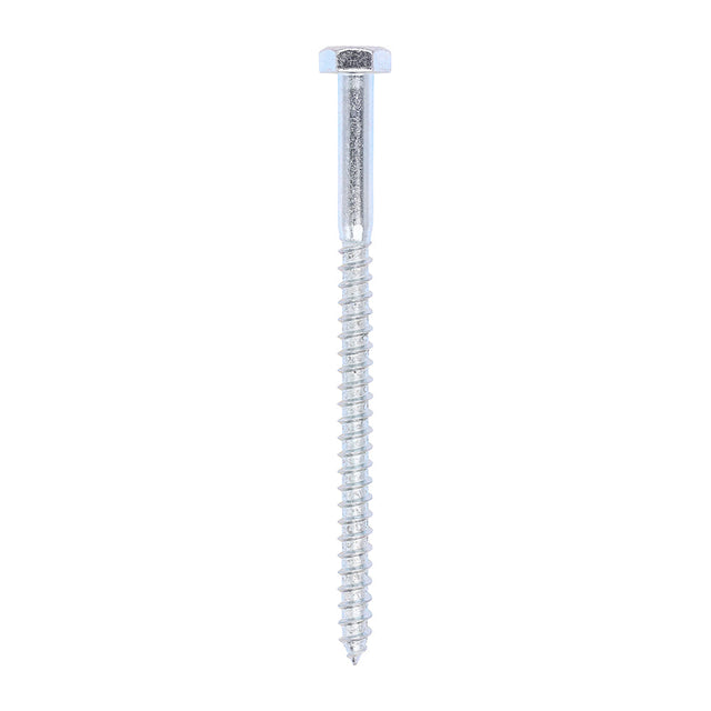 This is an image of Timco - Coach Screws - Hex - Zinc 10.0 x 160mm - (25 PCS Box) 10160CSC