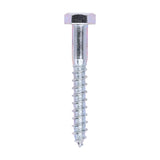 This is an image of Timco - Coach Screws - Hex - Zinc 10.0 x 75mm - (100 PCS Box) 1075CSC