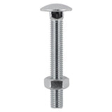 This is an image of Timco - Carriage Bolts & Hex Nuts - Stainless Steel M12 x 100mm - (2 PCS TIMpac) 12100CBSSP