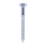 This is an image of Timco - Coach Screws - Hex - Zinc 12.0 x 100mm - (25 PCS Box) 12100CSC