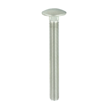 This is an image of Timco - Carriage Bolts - A2 Stainless Steel M12 x 110mm - (5 PCS Bag) 12110CBSSX