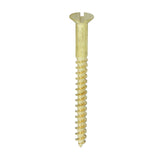 This is an image of Timco - Solid Brass Timber Screws - SLOT - Countersunk 12 x 2 1/2" - (100 PCS Box) 12212CBS