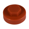 This is an image of Timco - Hex Head Cover Caps - Terracotta 16mm - (1000 PCS Bag) 1604C39CAP