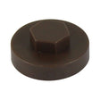 This is an image of Timco - Hex Head Cover Caps - VanDyke Brown 16mm - (1000 PCS Bag) 1608B29CAP