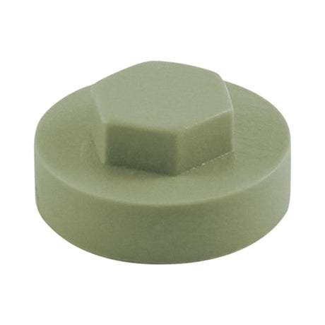 This is an image of Timco - Hex Head Cover Caps - Meadowland 16mm - (1000 PCS Bag) 1612B17CAP