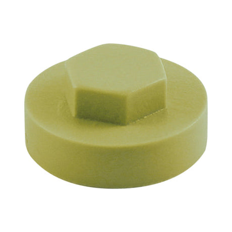 This is an image of Timco - Hex Head Cover Caps - Moorland Green 16mm - (1000 PCS Bag) 1612B21CAP