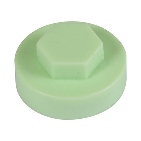 This is an image of Timco - Hex Head Cover Caps - Eau de Nil 16mm - (1000 PCS Bag) 1614E49CAP