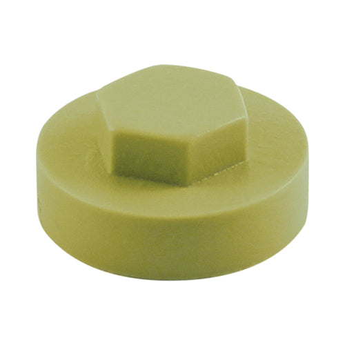 This is an image of Timco - Hex Head Cover Caps - Moorland Green 19mm - (1000 PCS Bag) 1912B21CAP