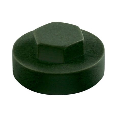 This is an image of Timco - Hex Head Cover Caps - Juniper Green 19mm - (1000 PCS Bag) 1912B29CAP