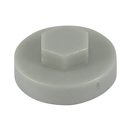 This is an image of Timco - Hex Head Cover Caps - White Aluminium 19mm - (1000 PCS Bag) 19RAL9006CAP